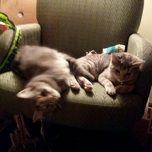 Meet your Posher, Joann